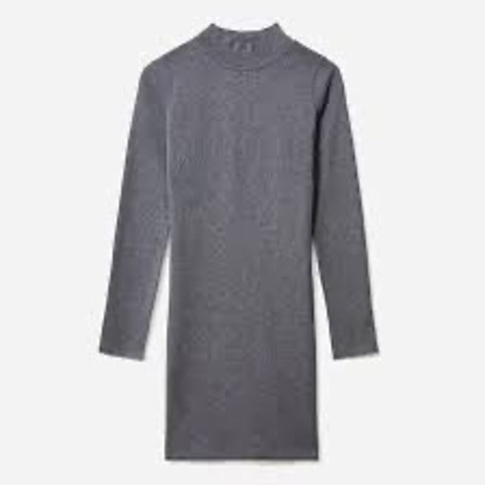 Everlane 100% Cotton Mockneck Dress Gray XS Long Sleeve A-Line EUC Minimalist